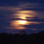 Chlast fest Krhovice u Znojma